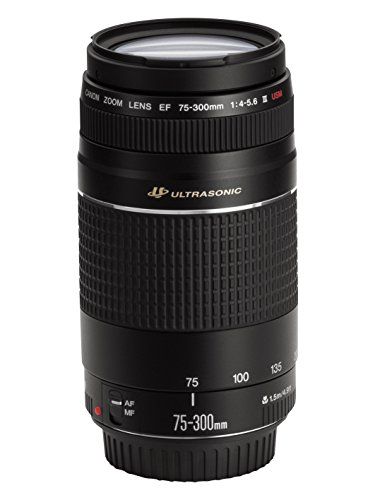 CANON EF 75-300mm F4-5.6
